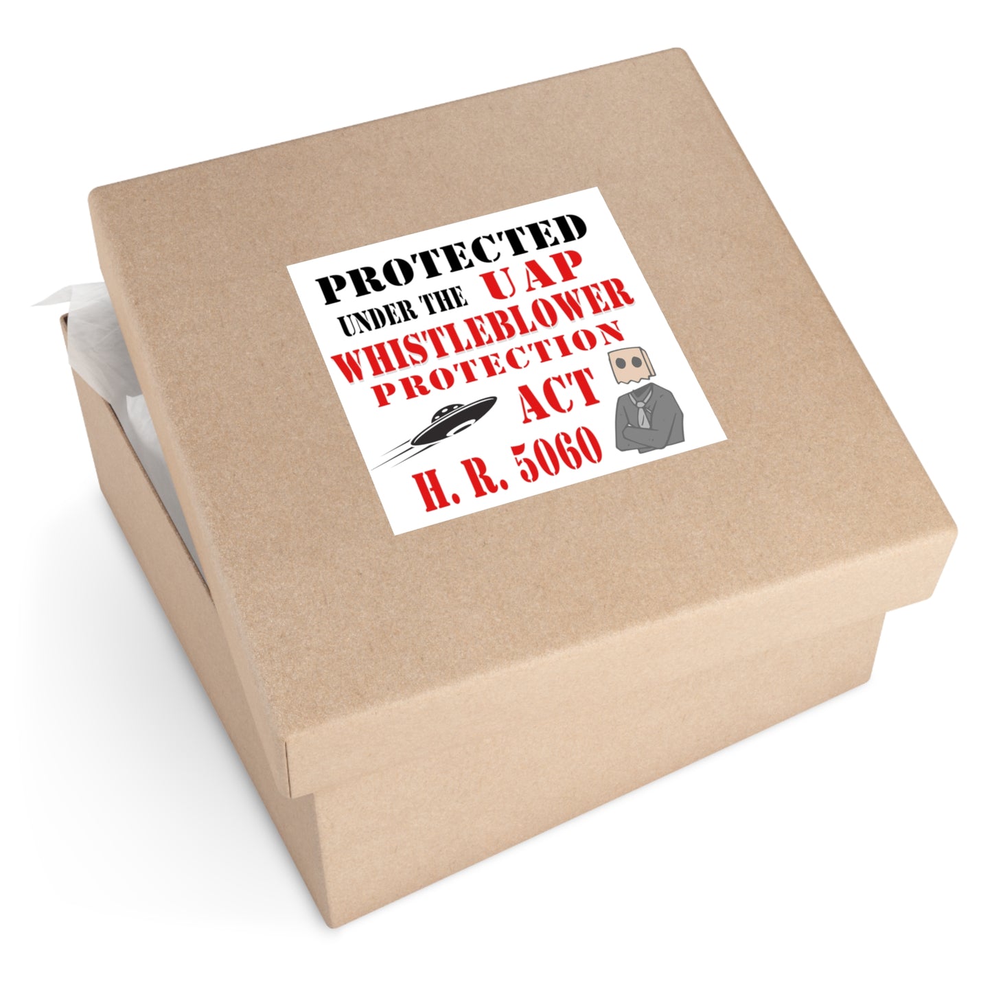 UAP Whistleblower Protection Act Sticker ~ Funny UFO Disclosure Vinyl Decal, Alien Conspiracy Gift, HR 5060 Humor